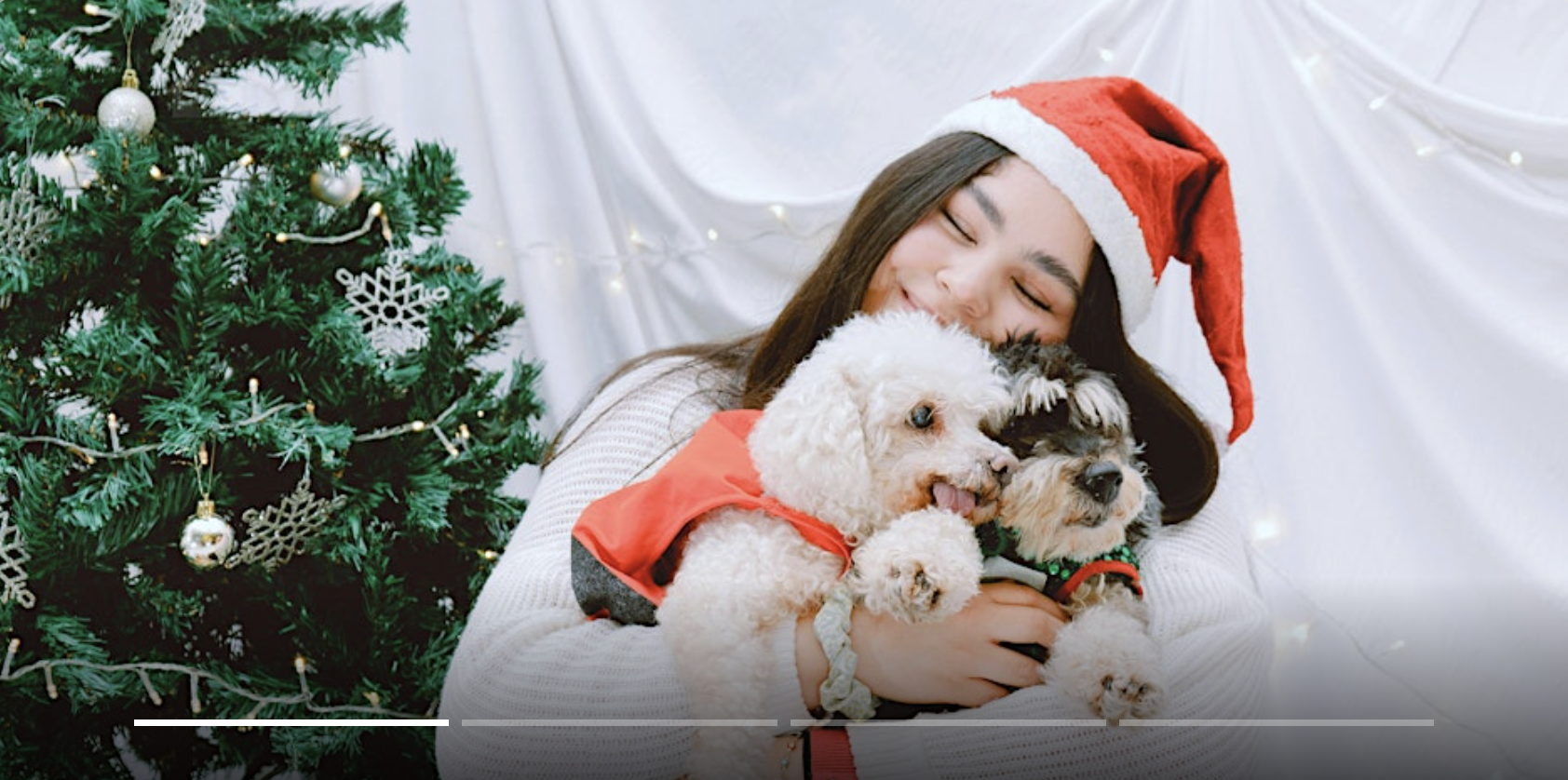 Pet Photos with Santa @ The Bloc